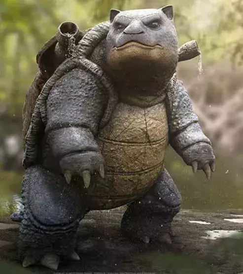 Turtok