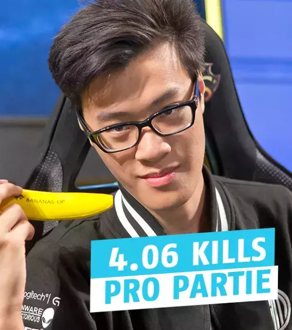 Wildturtle