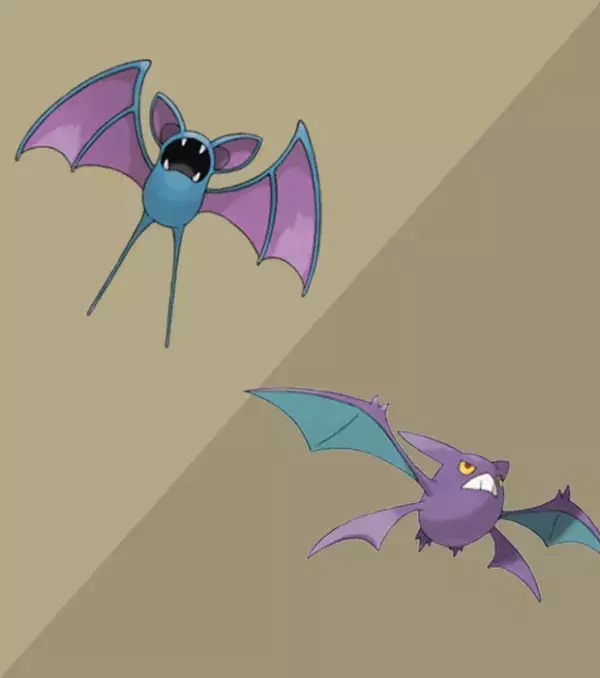 Zubat